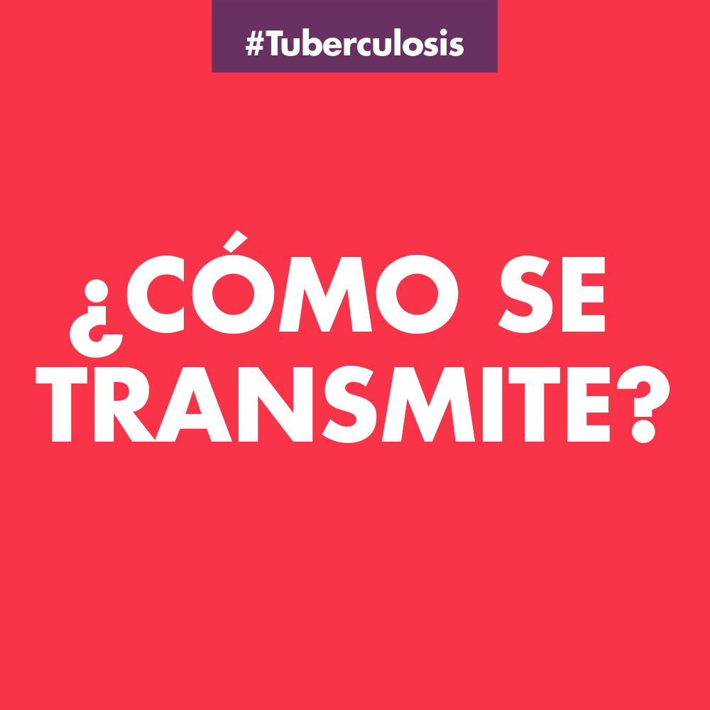 Https Www Salud Gob Sv Archivos Pdf Tuberculosis Doc Materiales Educativos Tb Rotafolio Tb Pdf